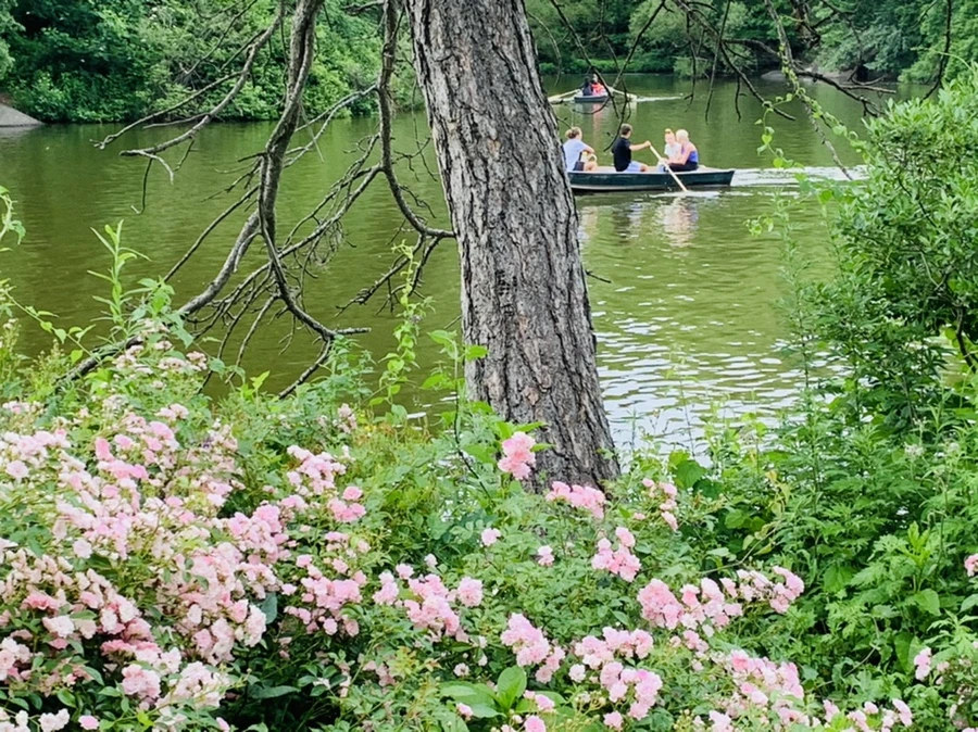 IMG_3445.jpg?type=w966