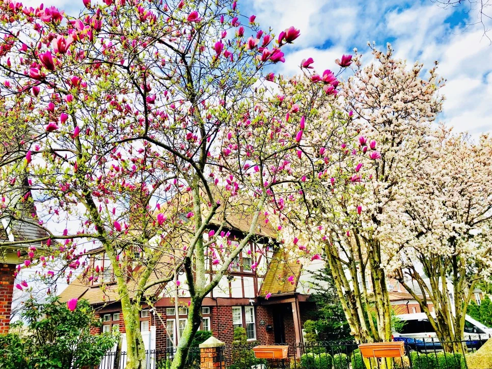 IMG_E5077.jpg?type=w966