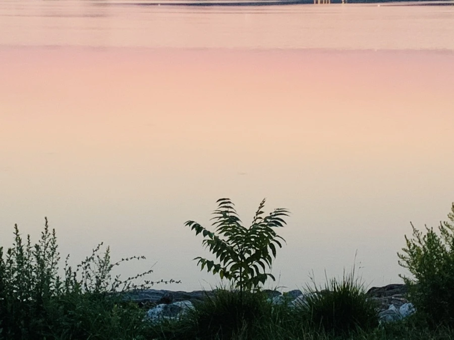 IMG_1834.jpg?type=w966