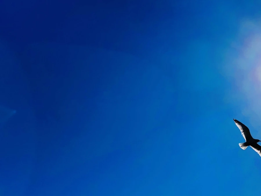 IMG_5411.jpg?type=w966