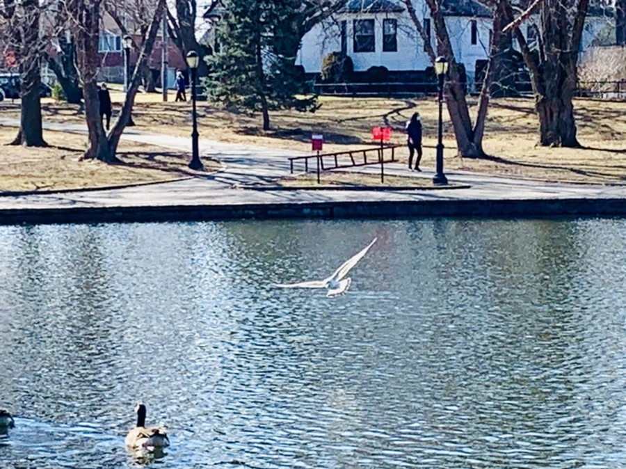 IMG_9346.jpg?type=w966