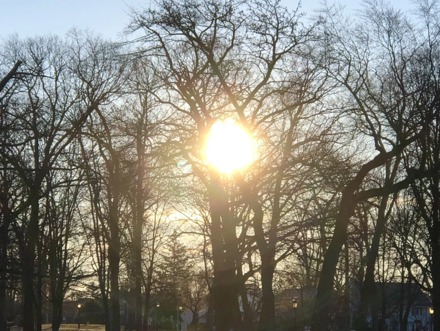 IMG_1106.jpg?type=w966