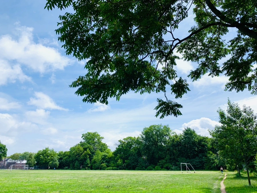 IMG_7397.jpg?type=w966