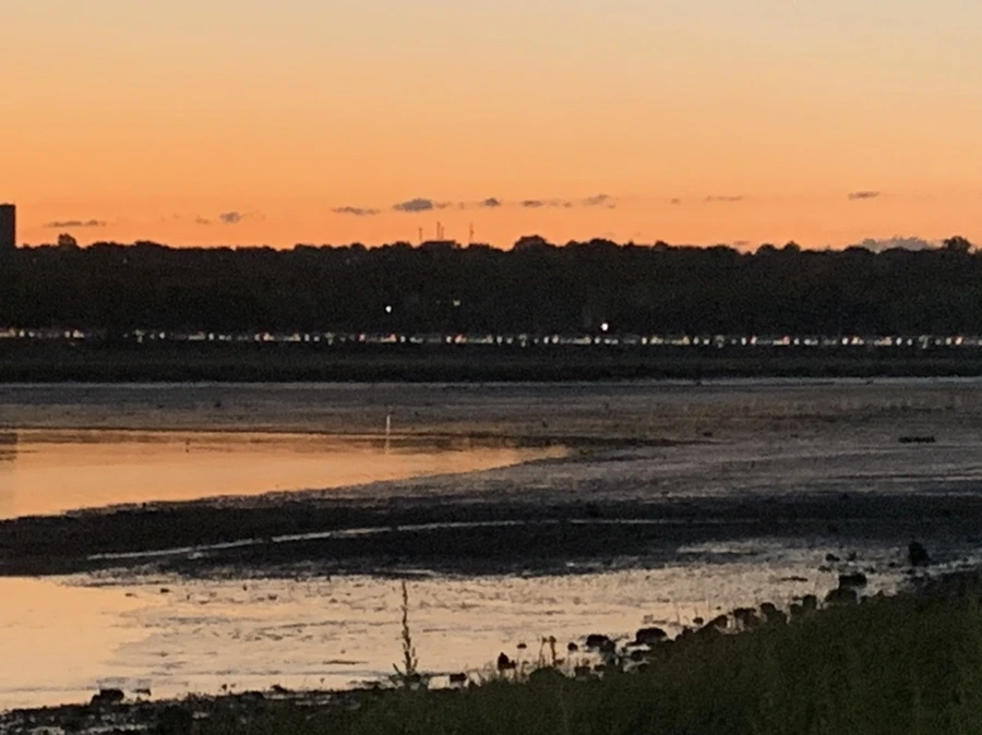 IMG_8507.jpg?type=w966