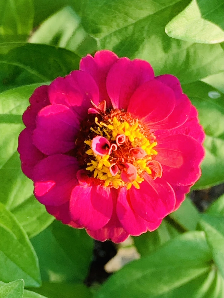 IMG_8282.jpg?type=w966