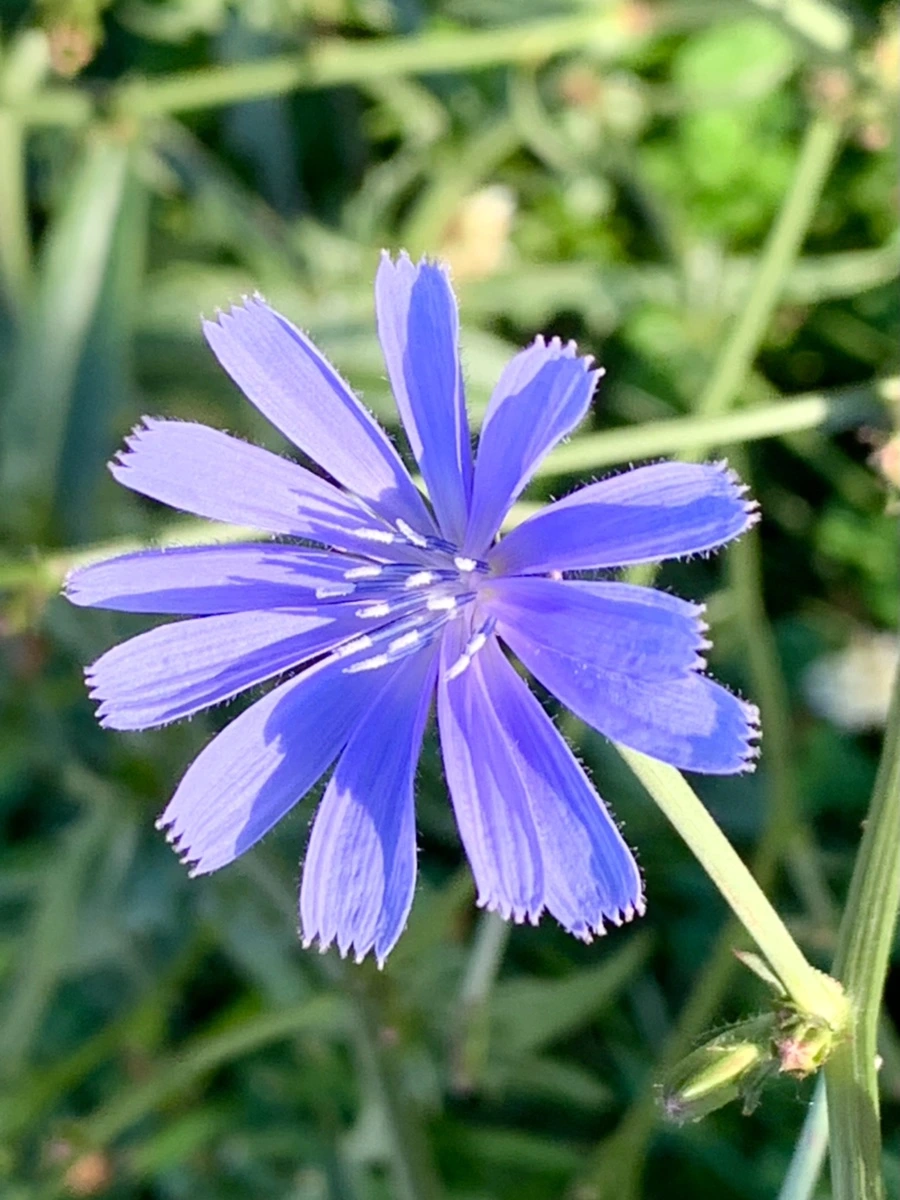 IMG_5240.jpg?type=w966