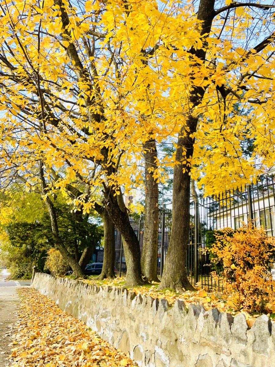 IMG_6062.jpg?type=w966