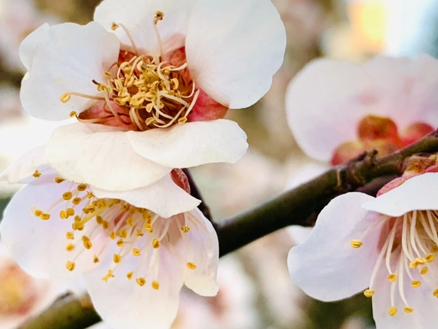 IMG_2763.jpg?type=w966