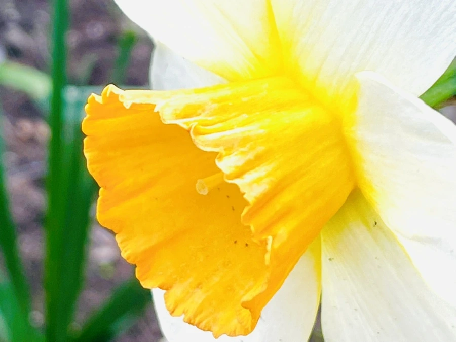 IMG_0386.jpg?type=w966