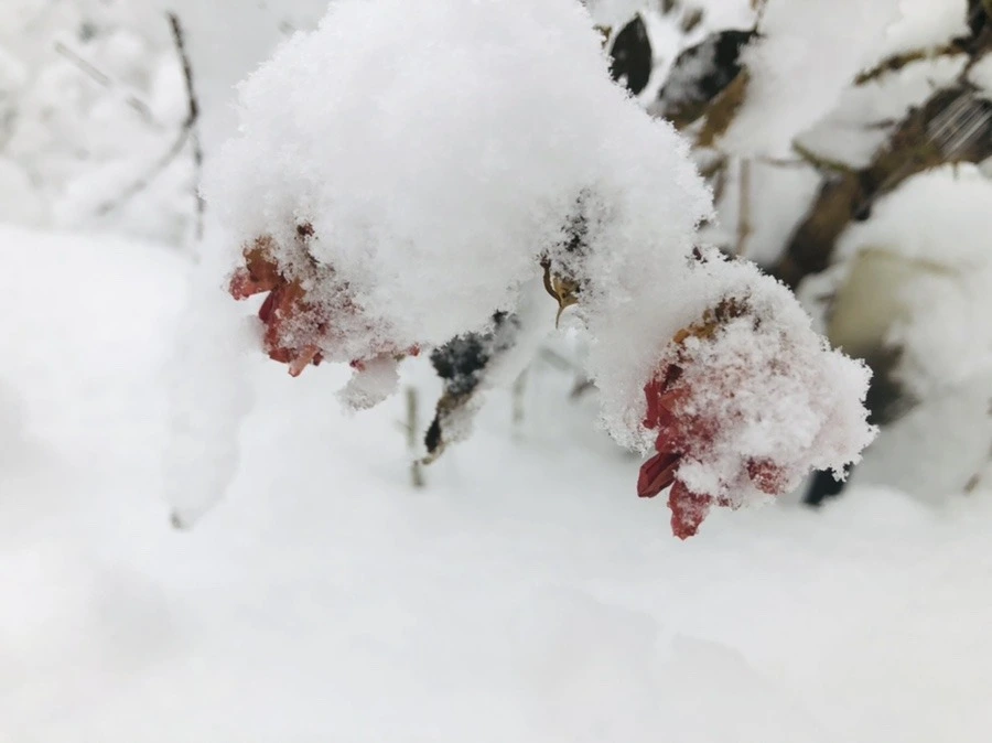 qrF3D-LVt6odiJ4N7K-ZnzwJLKE