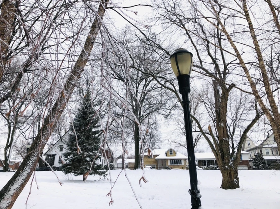 IMG_3692.jpg?type=w966