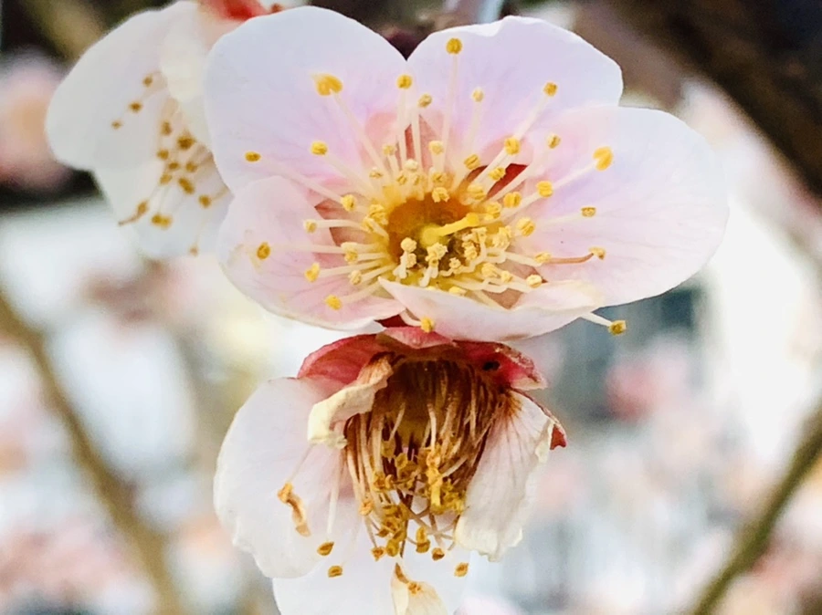 IMG_2329.jpg?type=w966