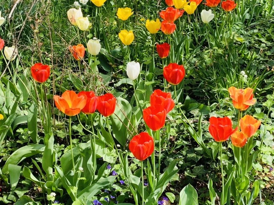 IMG_6886.jpg?type=w966