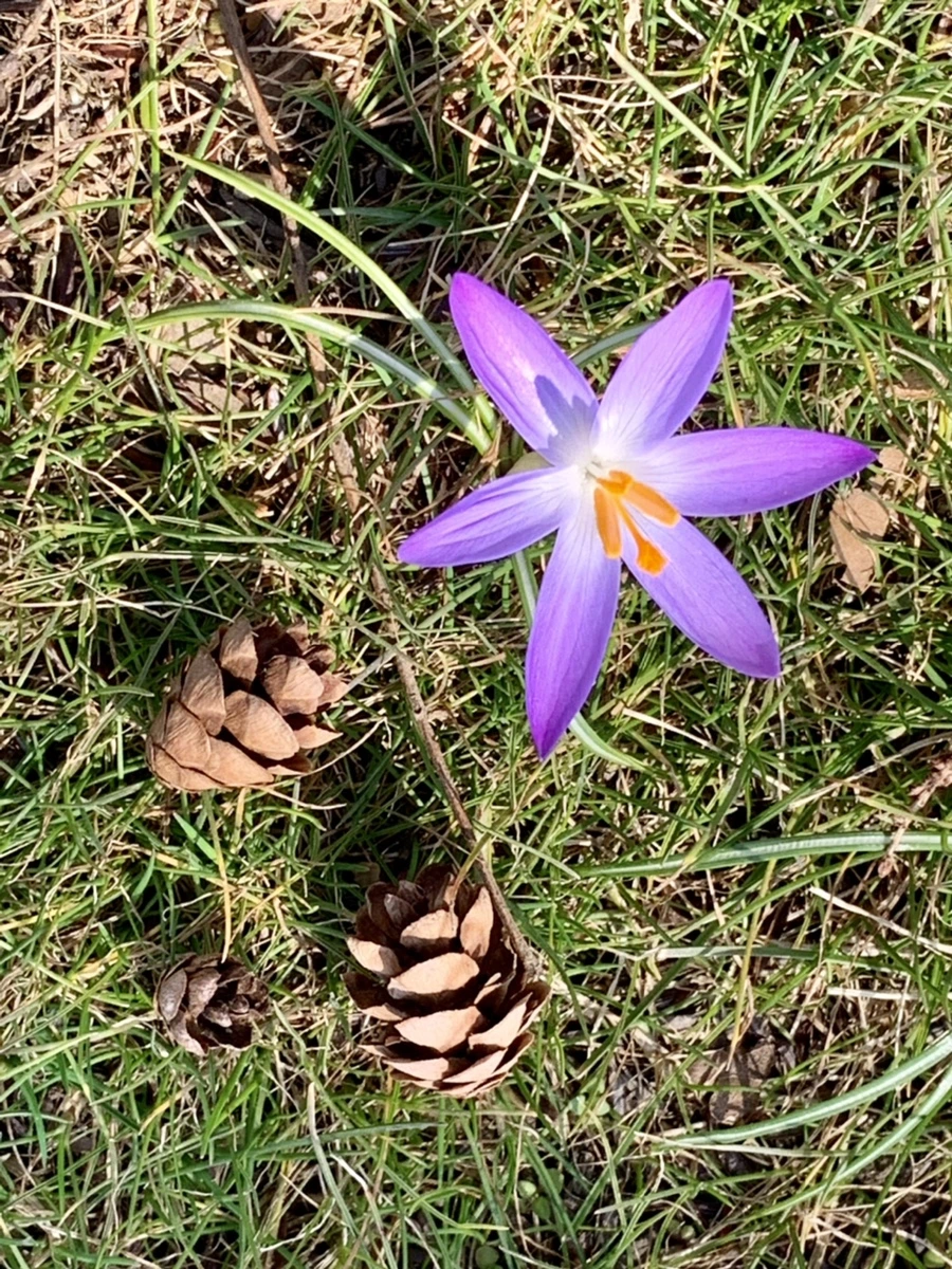 IMG_9207.jpg?type=w966