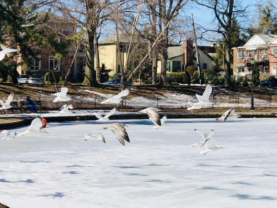 IMG_4748.jpg?type=w966