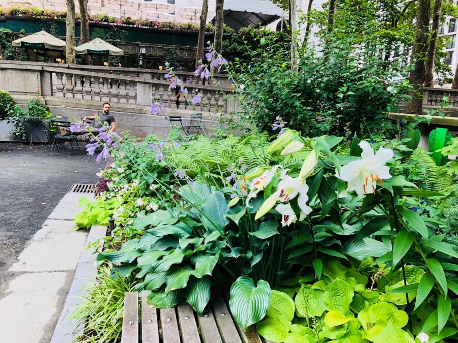 IMG_9694.jpg?type=w966