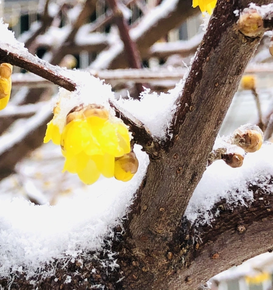 IMG_3520.jpg?type=w966