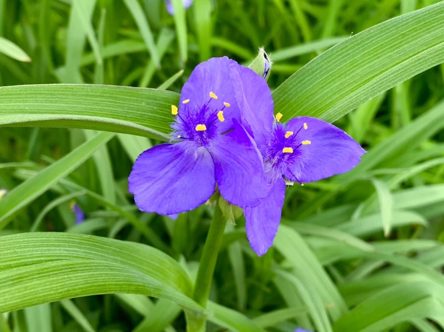 IMG_3524.jpg?type=w966