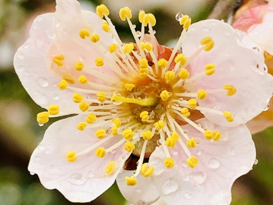 IMG_1846.jpg?type=w966