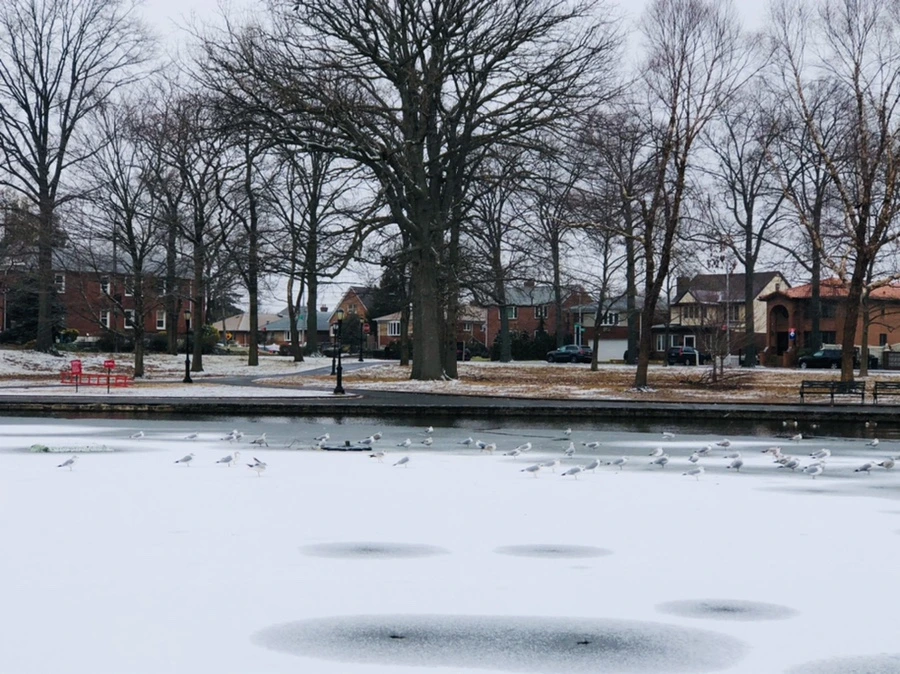 IMG_6154.jpg?type=w966