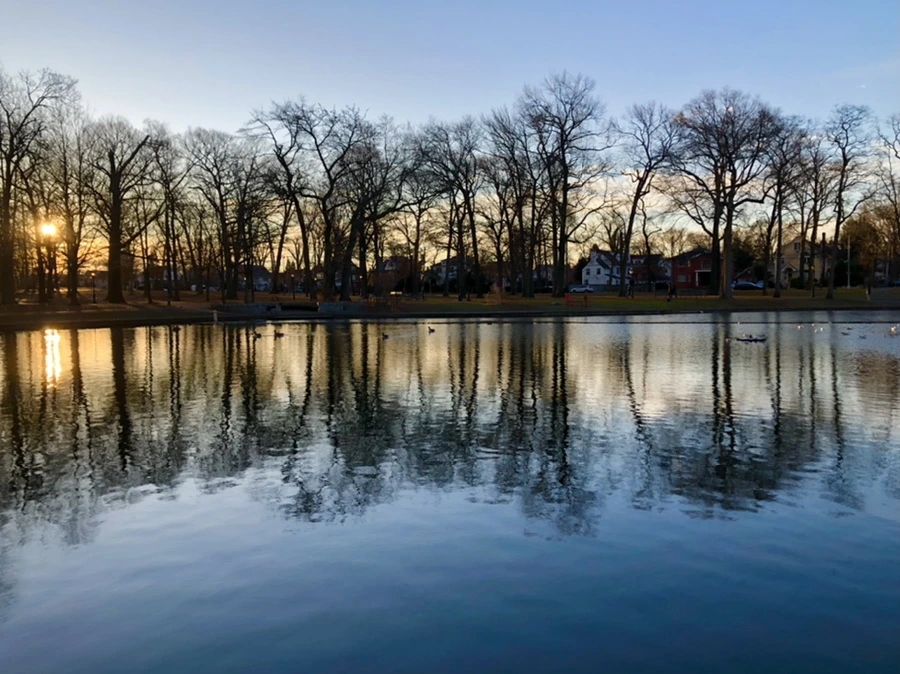 IMG_0794.jpg?type=w966