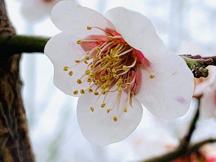 IMG_3655.jpg?type=w966