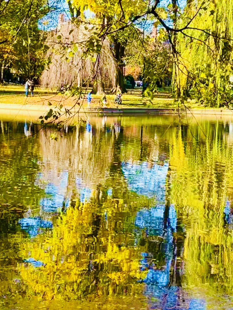 IMG_2586.jpg?type=w966