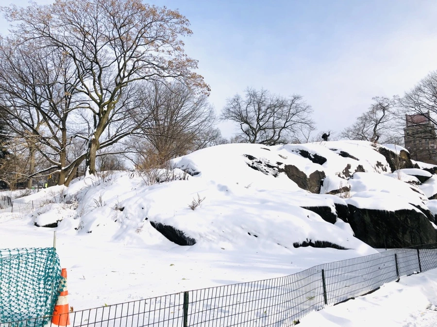 IMG_7183.jpg?type=w966