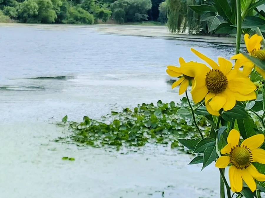 IMG_7606.jpg?type=w966