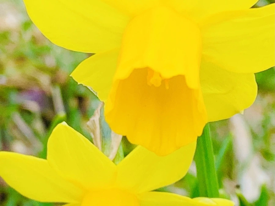 IMG_4043.jpg?type=w966