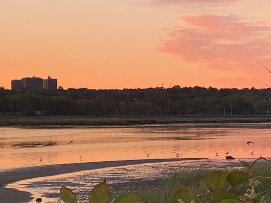 IMG_7460.jpg?type=w966