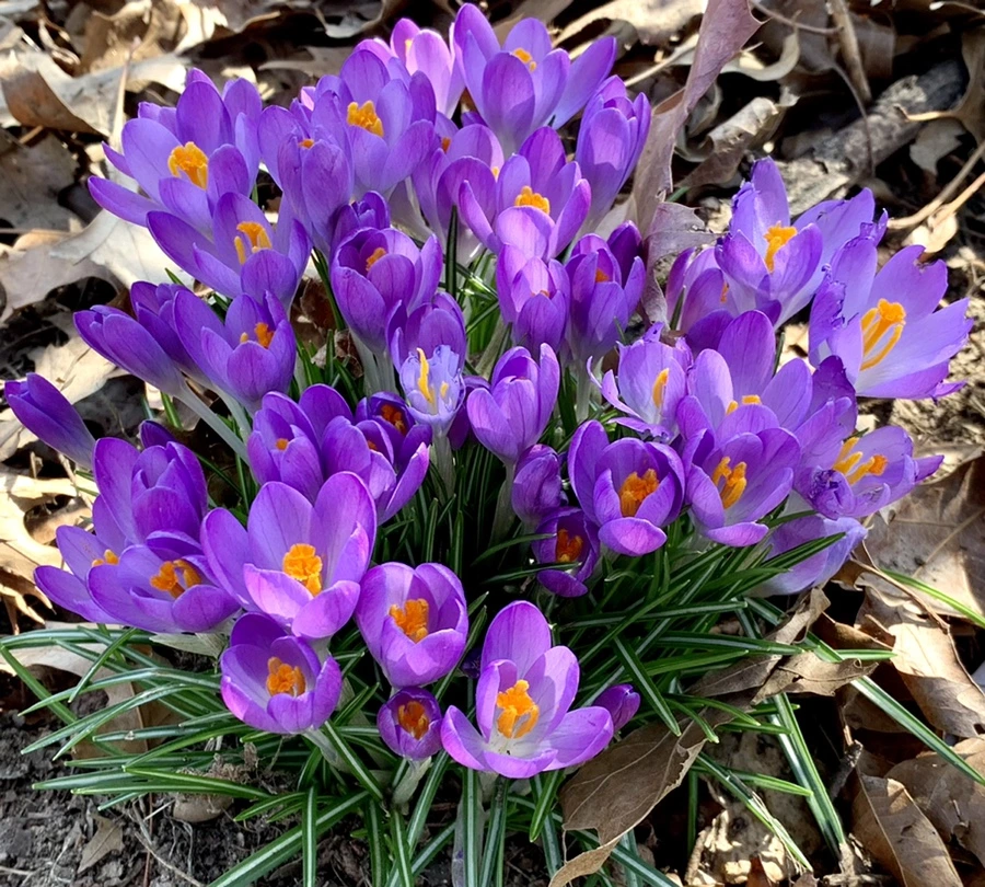 IMG_9689.jpg?type=w966