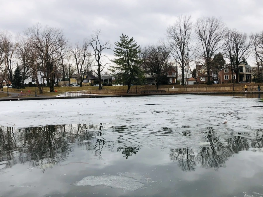 IMG_6406.jpg?type=w966