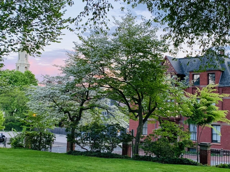 IMG_2574.jpg?type=w966