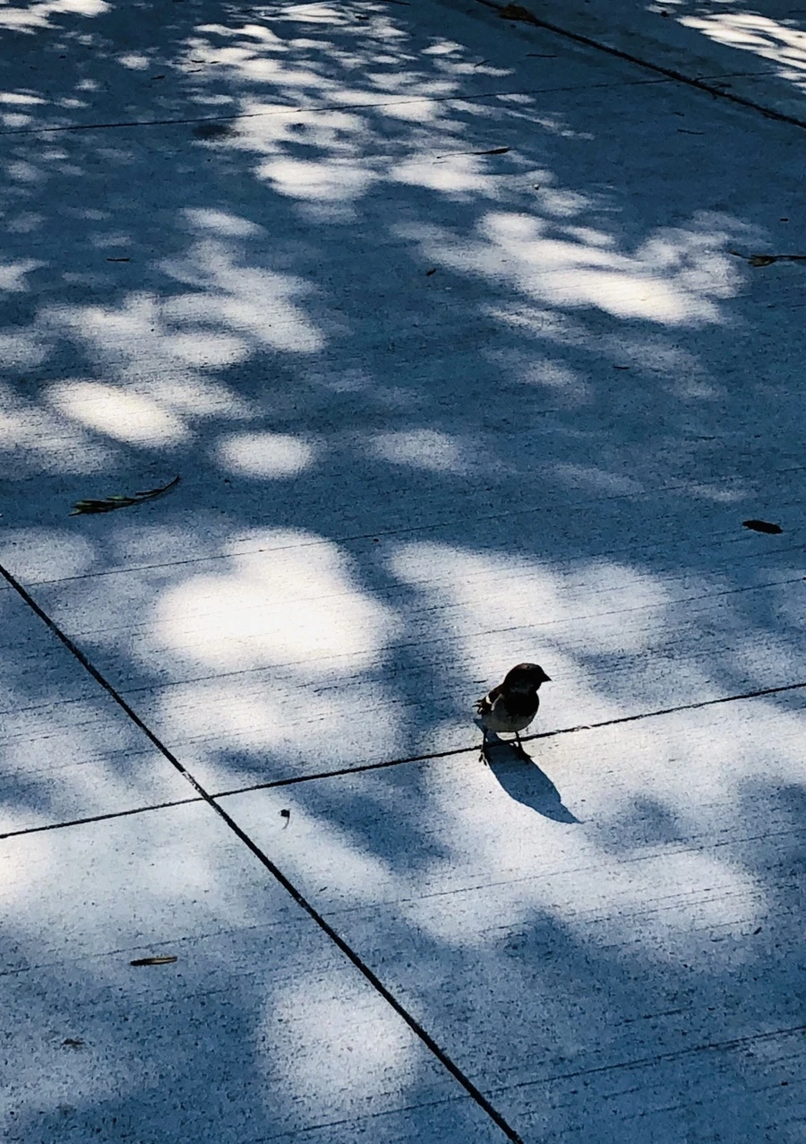 IMG_3478.jpg?type=w966