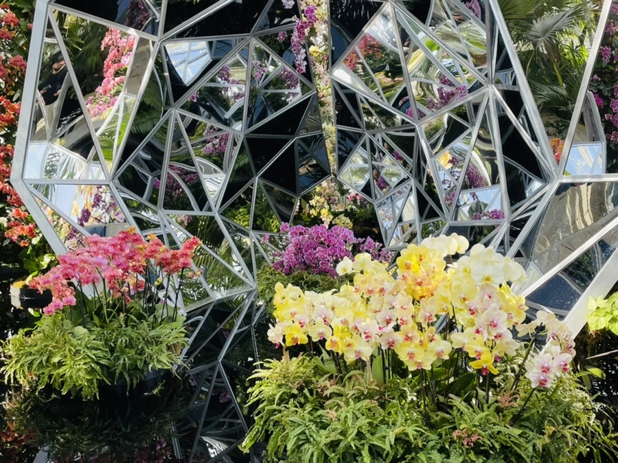 IMG_4431.jpg?type=w966