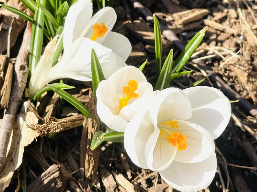 IMG_5579.jpg?type=w966