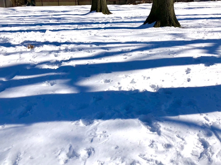 IMG_4007.jpg?type=w966