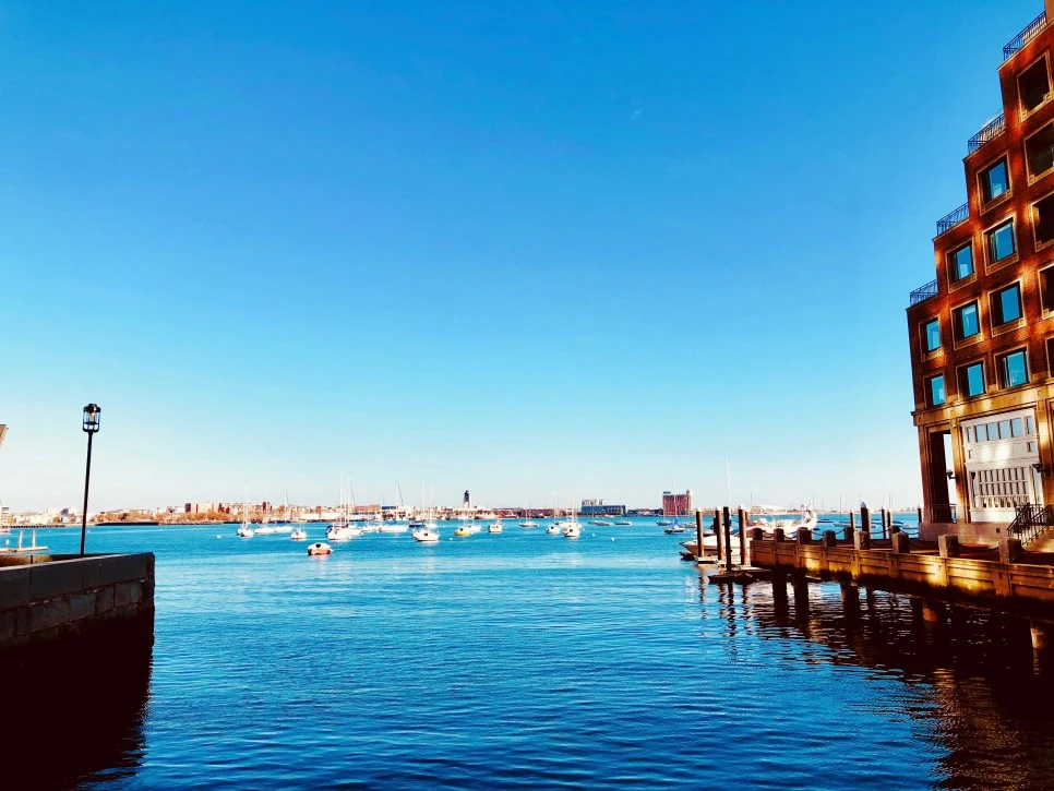 IMG_E1490.jpg?type=w966