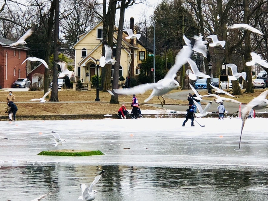 IMG_8529.jpg?type=w966