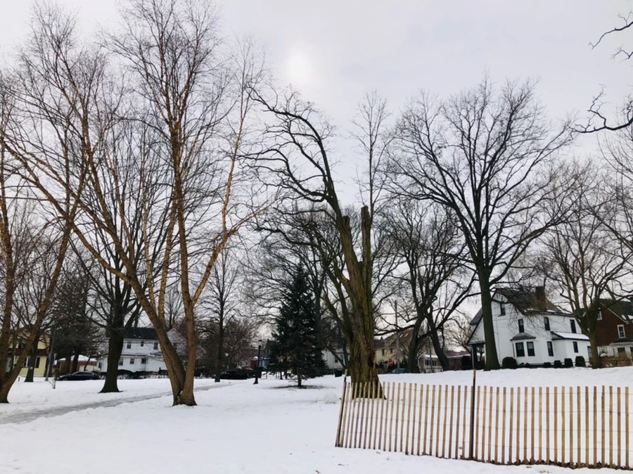 IMG_4399.jpg?type=w966