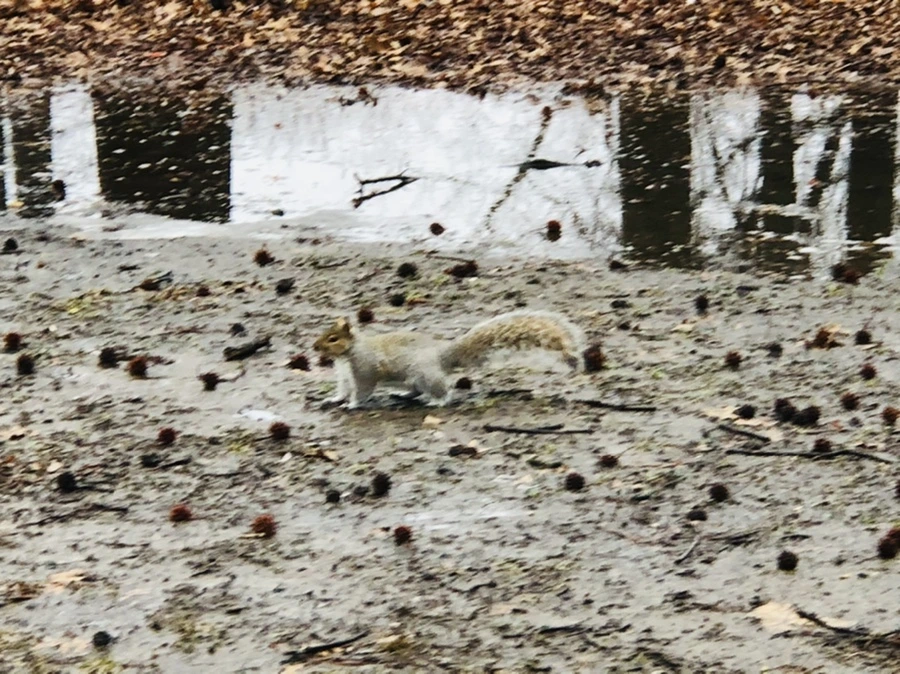 IMG_5730.jpg?type=w966