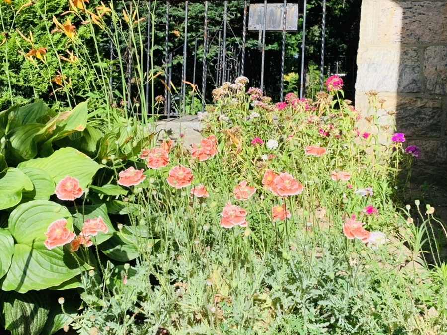 IMG_7383.jpg?type=w966