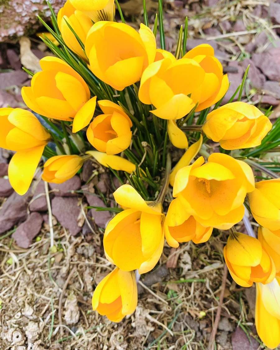 IMG_1663.jpg?type=w966