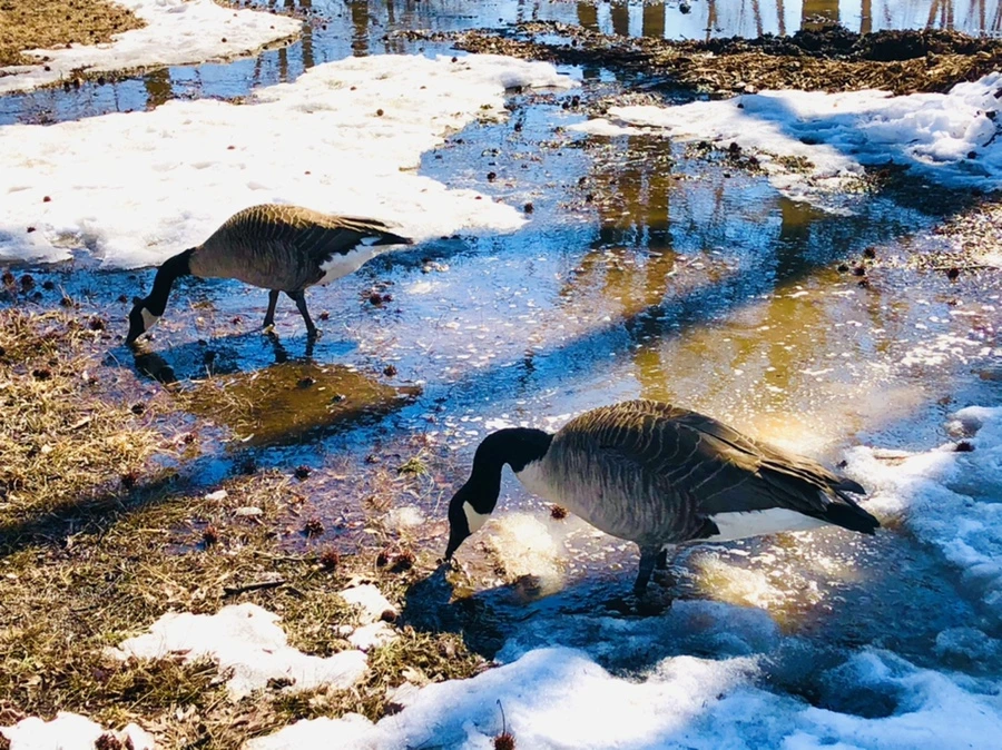 IMG_4532.jpg?type=w966