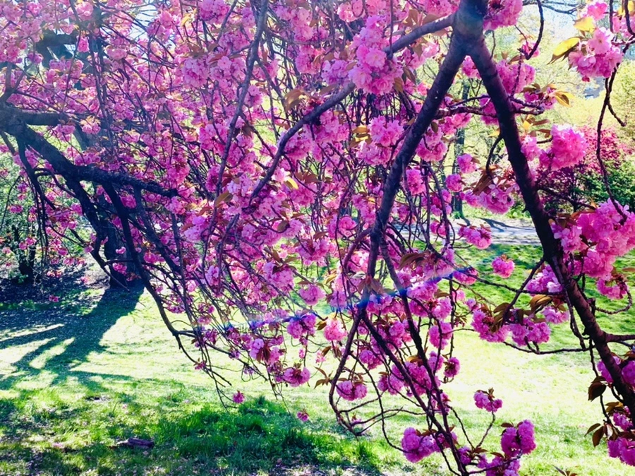 IMG_5967.jpg?type=w966