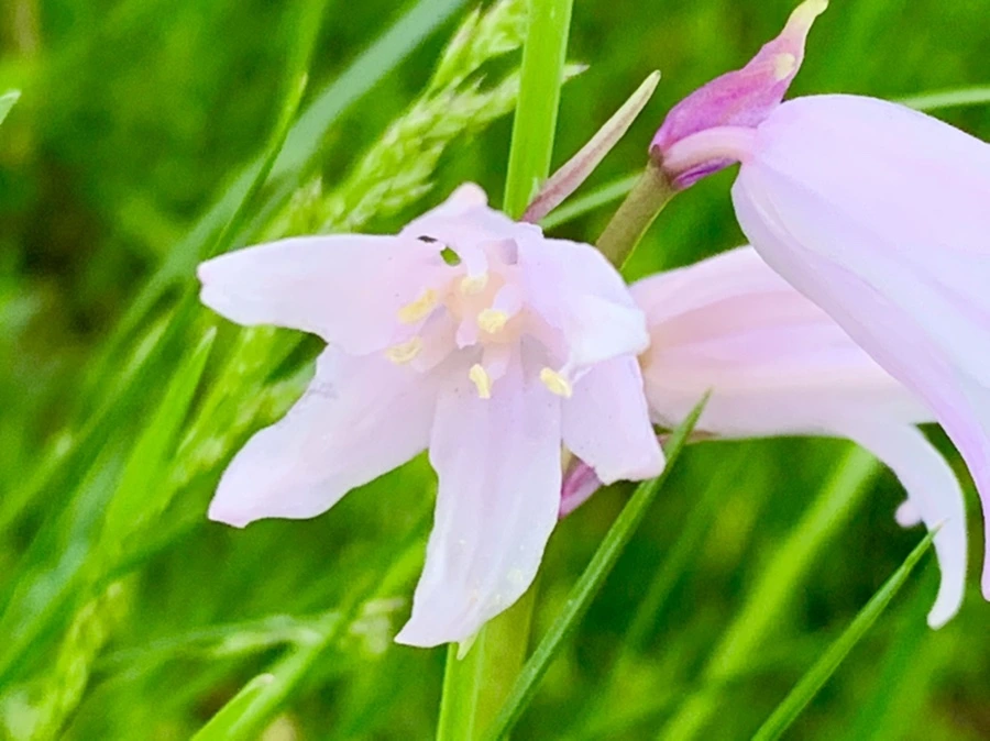 IMG_2143.jpg?type=w966