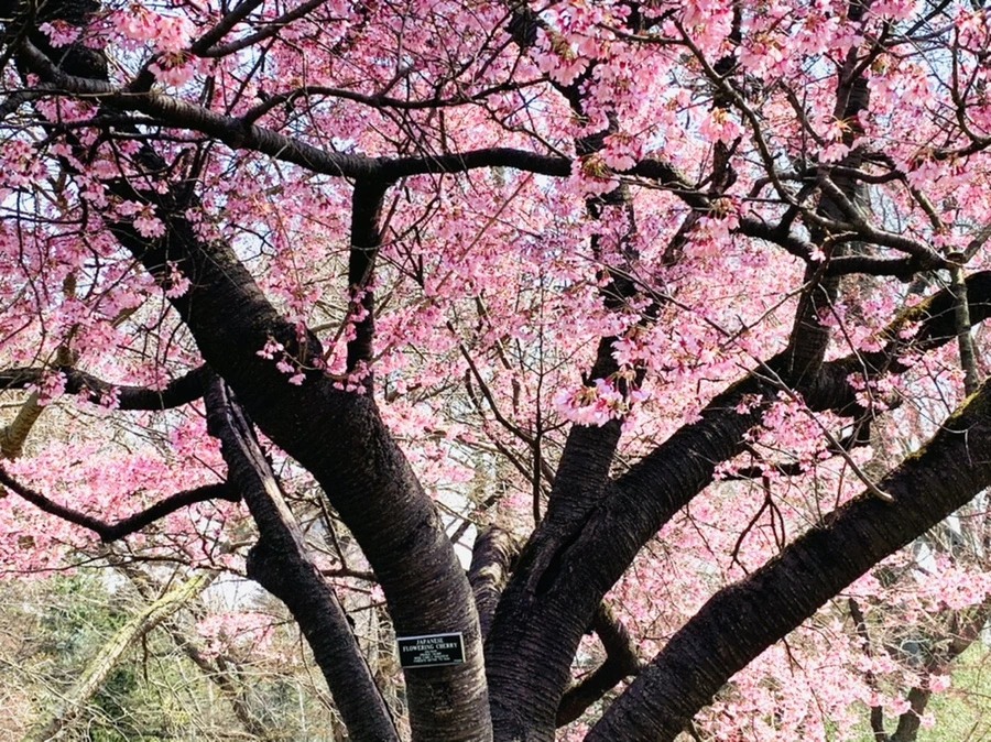 IMG_7346.jpg?type=w966