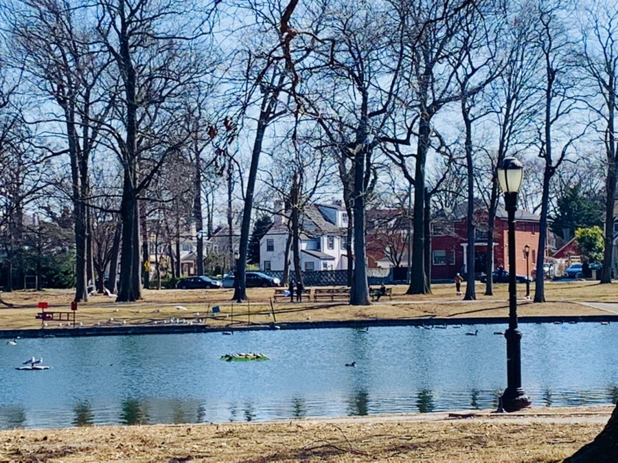 IMG_9594.jpg?type=w966