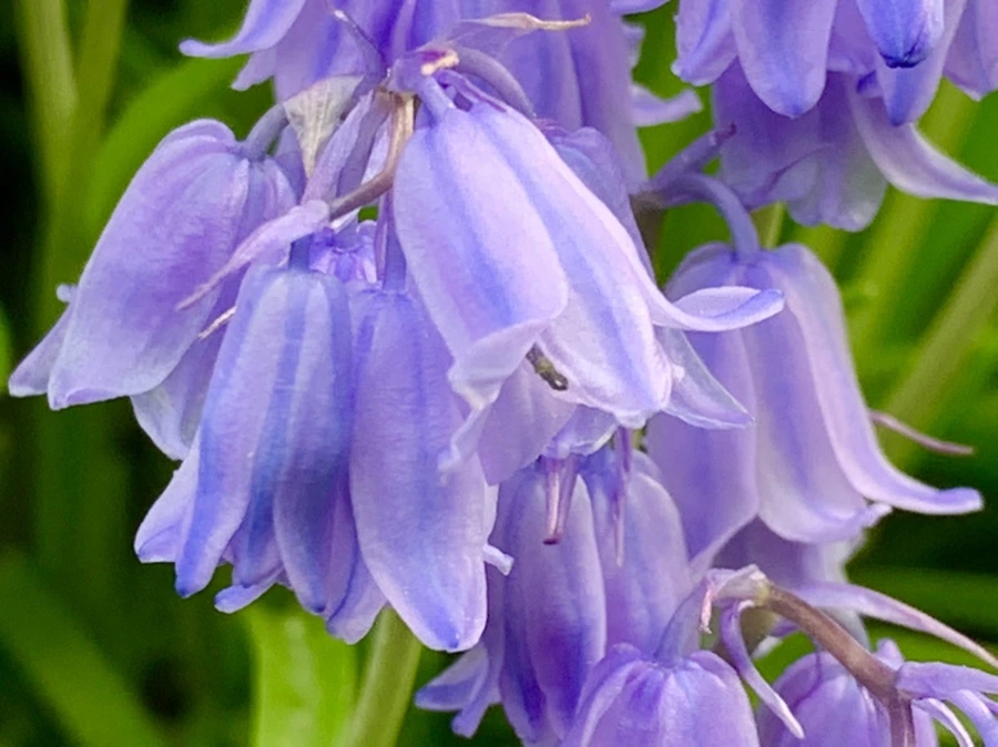 IMG_9083.jpg?type=w966